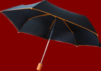unbrella image